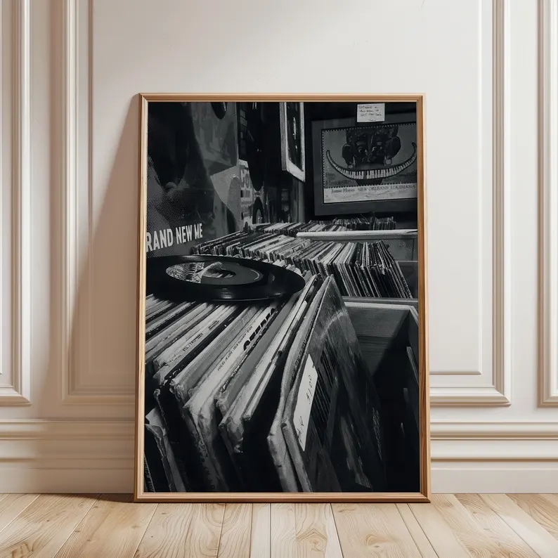 Modern Vinyl Record Store Blac - Home Decor White 评论和价格